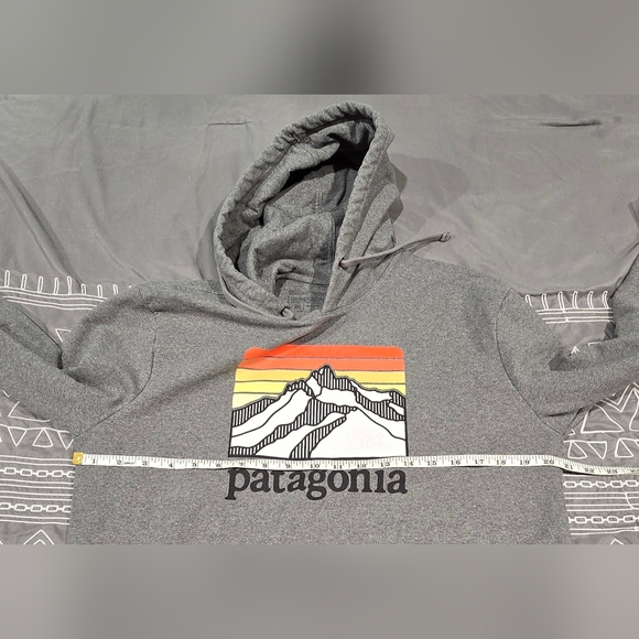 Patagonia Ridge Logo Uprisal Hoody Size Medium - Picture 6 of 8